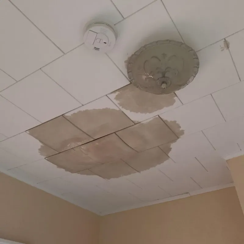 Ceiling Water Damage Repair in Oktibbeha County, MS