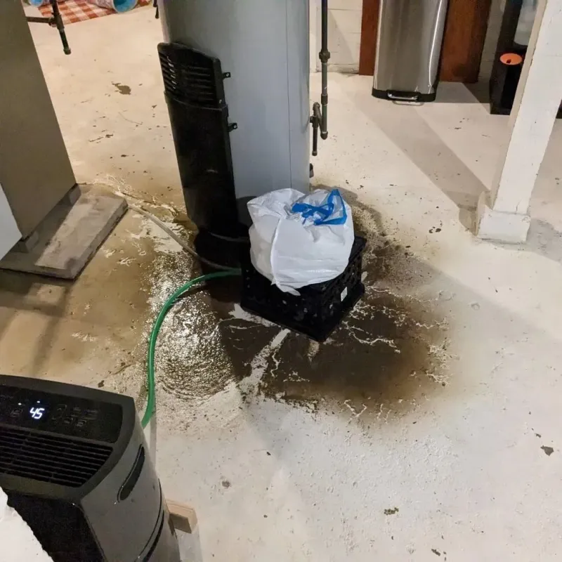 Sewage Backup Cleanup Service in Oktibbeha County, MS